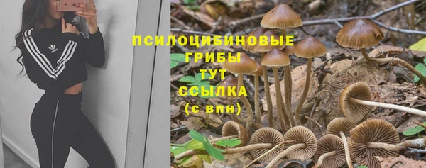 а пвп мука Арсеньев