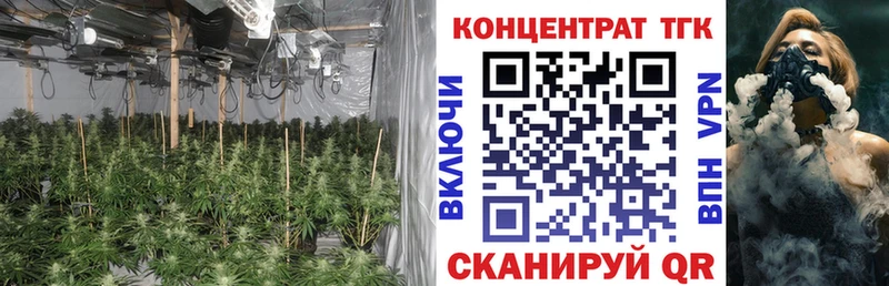 закладка  Пошехонье  ТГК THC oil 