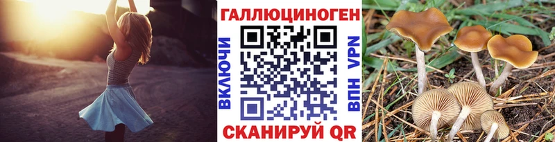 купить наркотик  Пошехонье  mega ссылка  Галлюциногенные грибы Psilocybine cubensis 