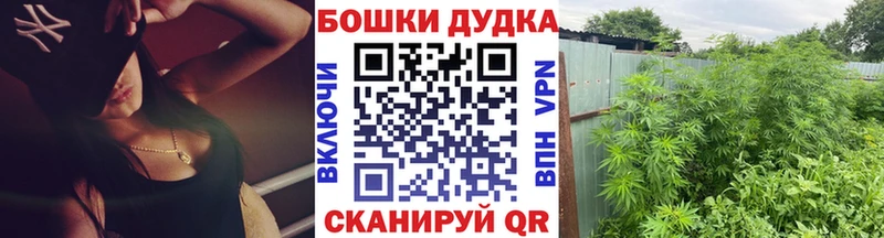 MEGA зеркало Пошехонье Марихуана Amnesia что такое